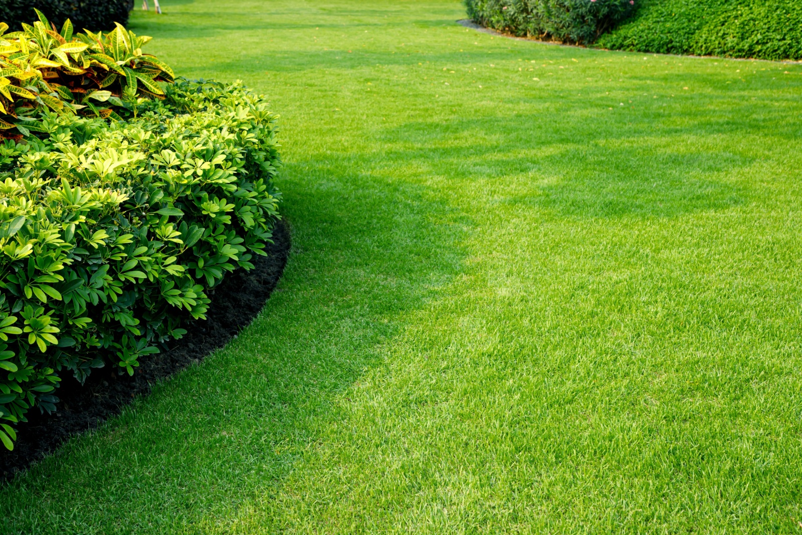 7 Reasons To Try Baking Soda On Your Alabama Lawn This Winter
