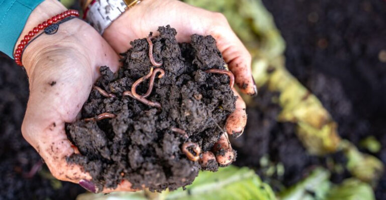 warm soil fertilizer