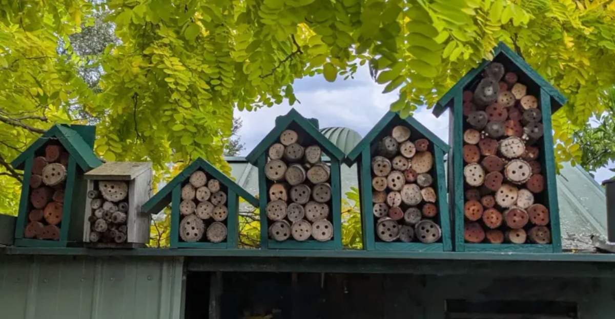 Pollinators (featured image)