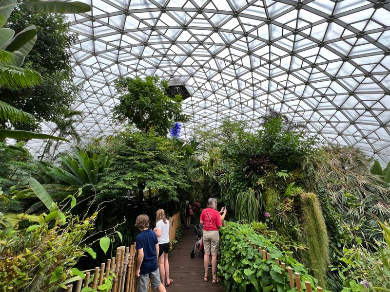 The Climatron Conservatory's Tropical Paradise