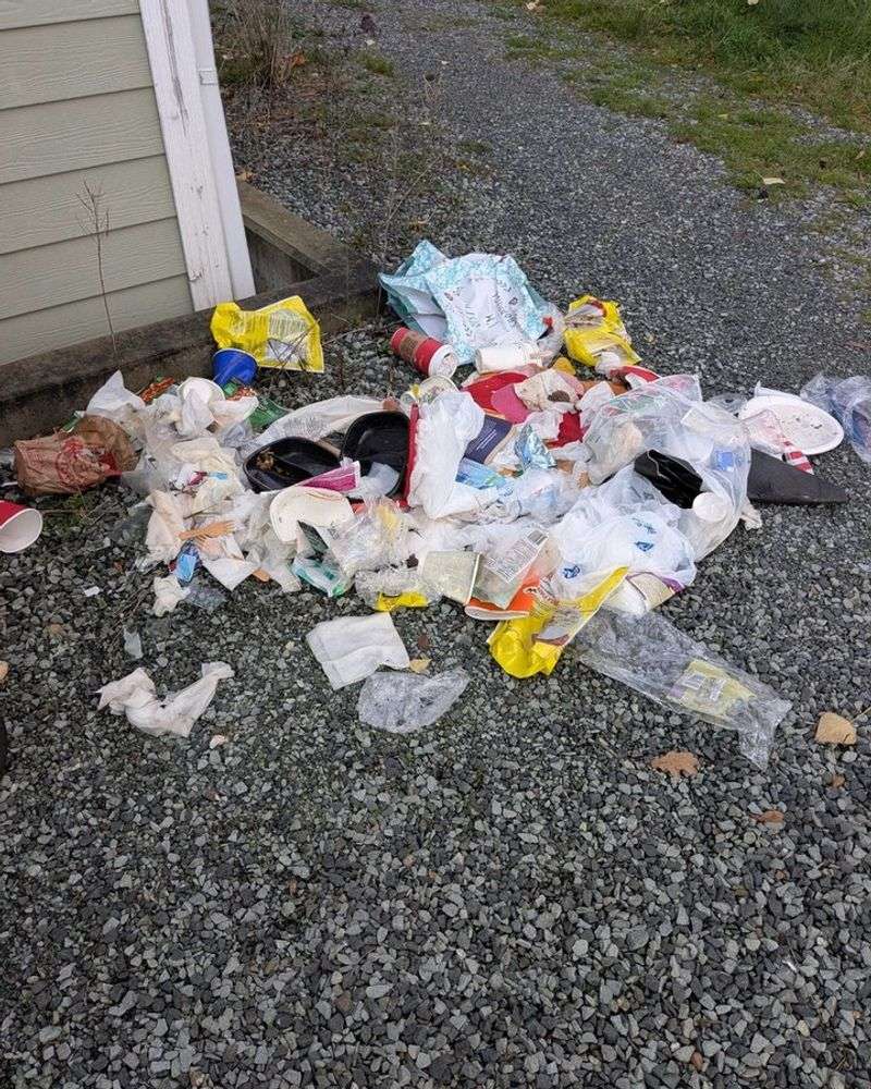 Trash Cans Tipped Over And Scattered