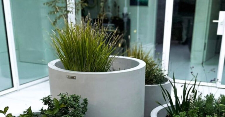 plants in oversized pots