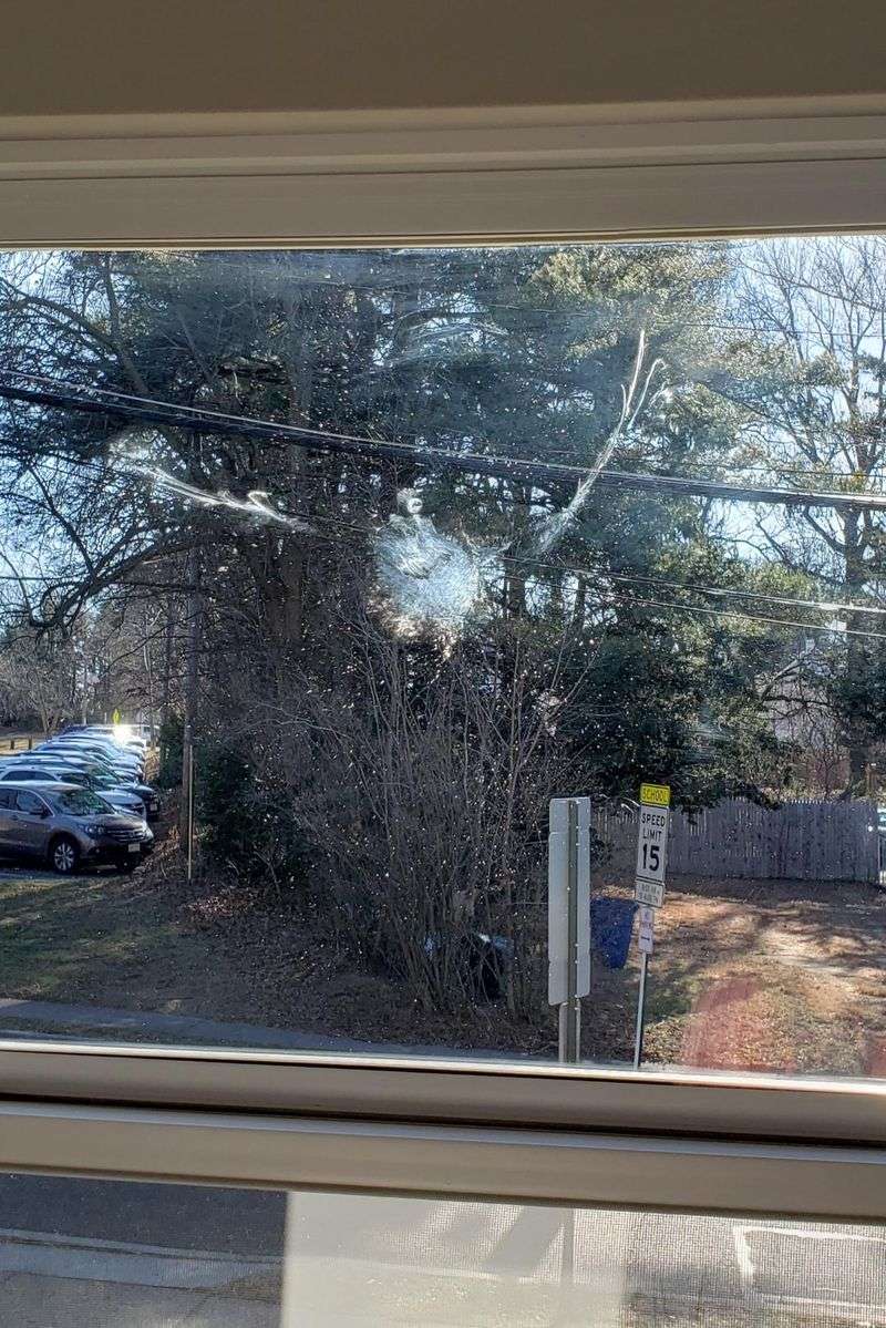 Reflective Glass Windows And Doors