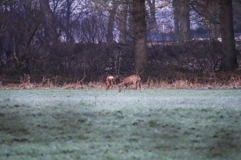 Stay Calm And Keep Your Distance