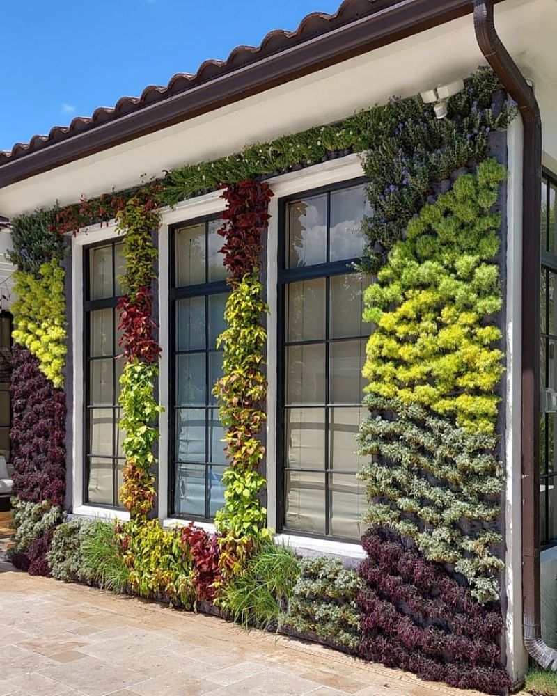 Vertical Succulent Walls
