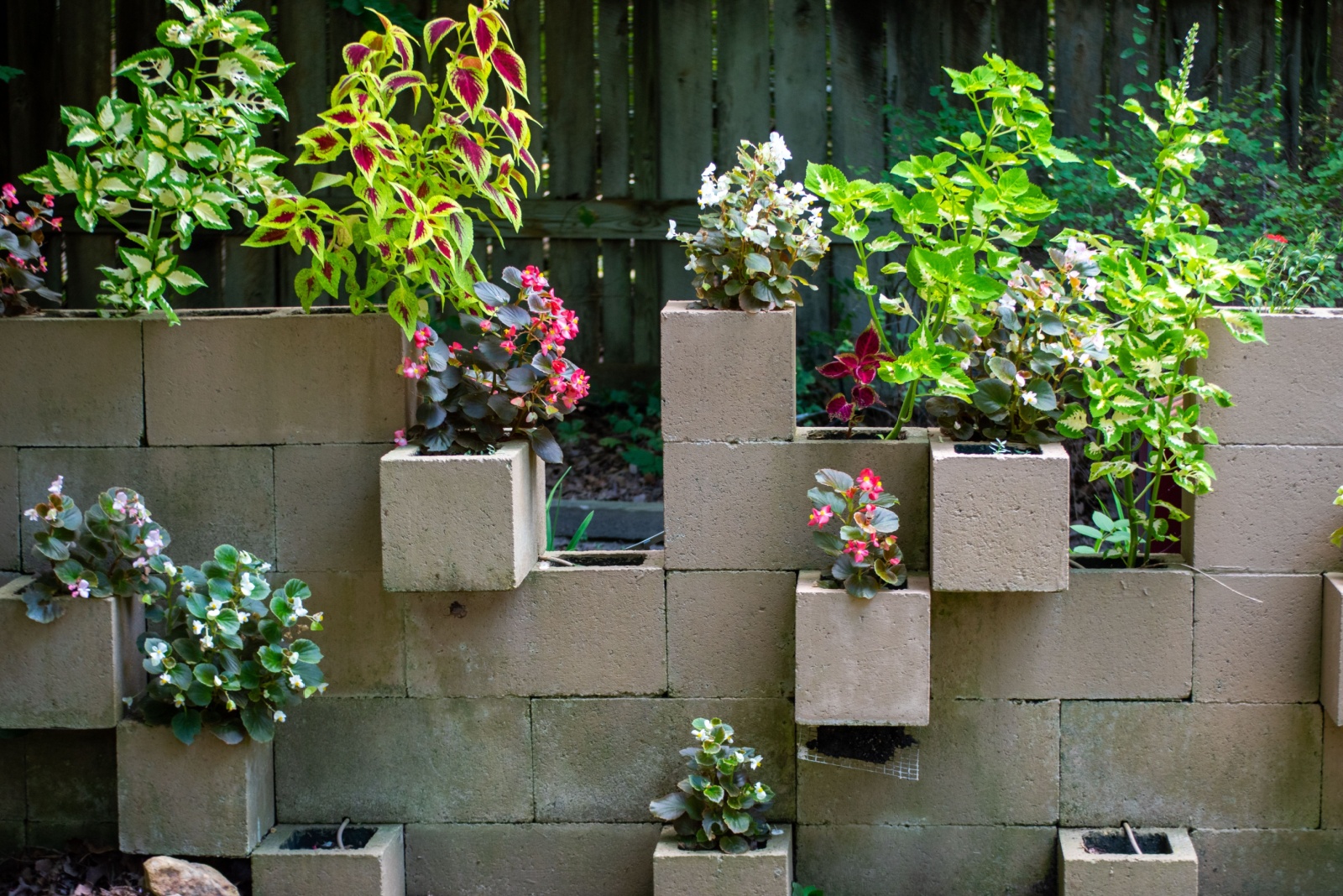 11 Unusual Garden Ideas Texas Gardeners Swear By For Big Impact On A Budget