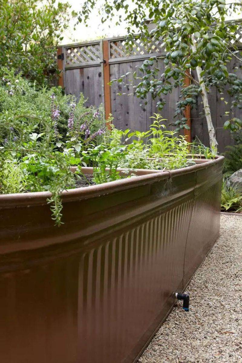 Repurposed Livestock Tanks As Raised Beds