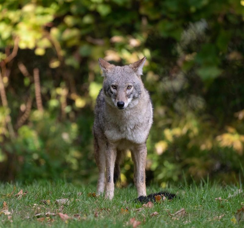 Stay Calm And Assess The Situation