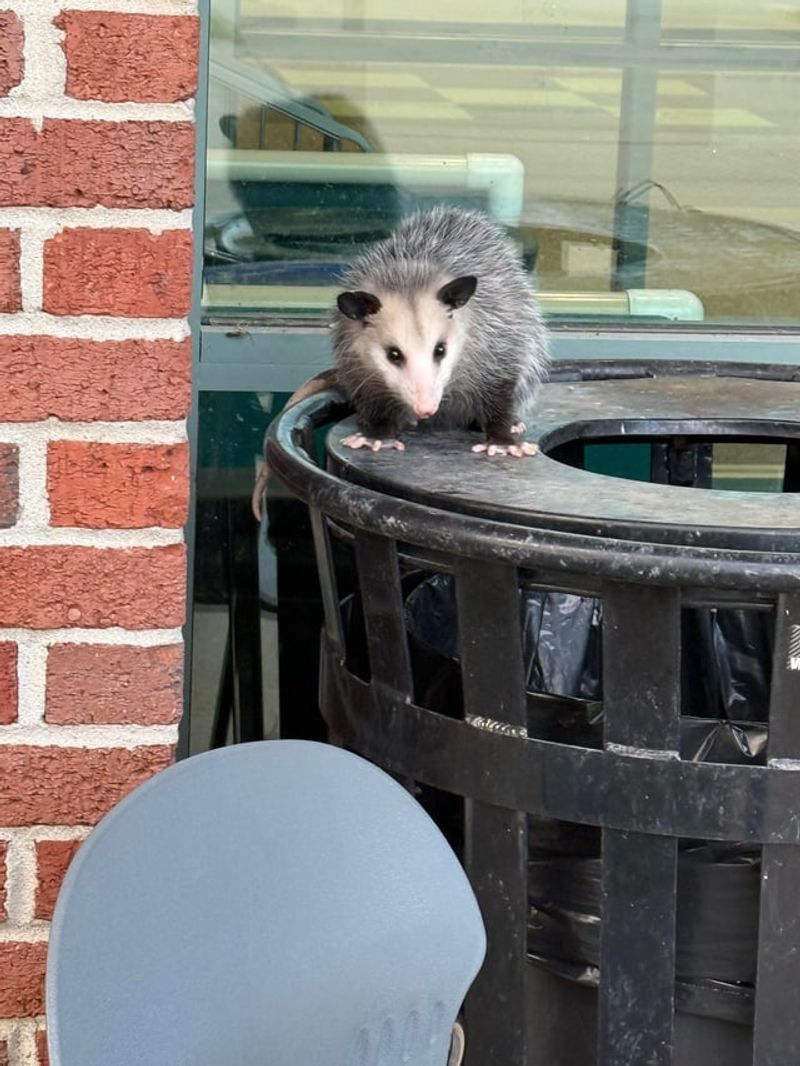 Stay Calm And Keep Your Distance