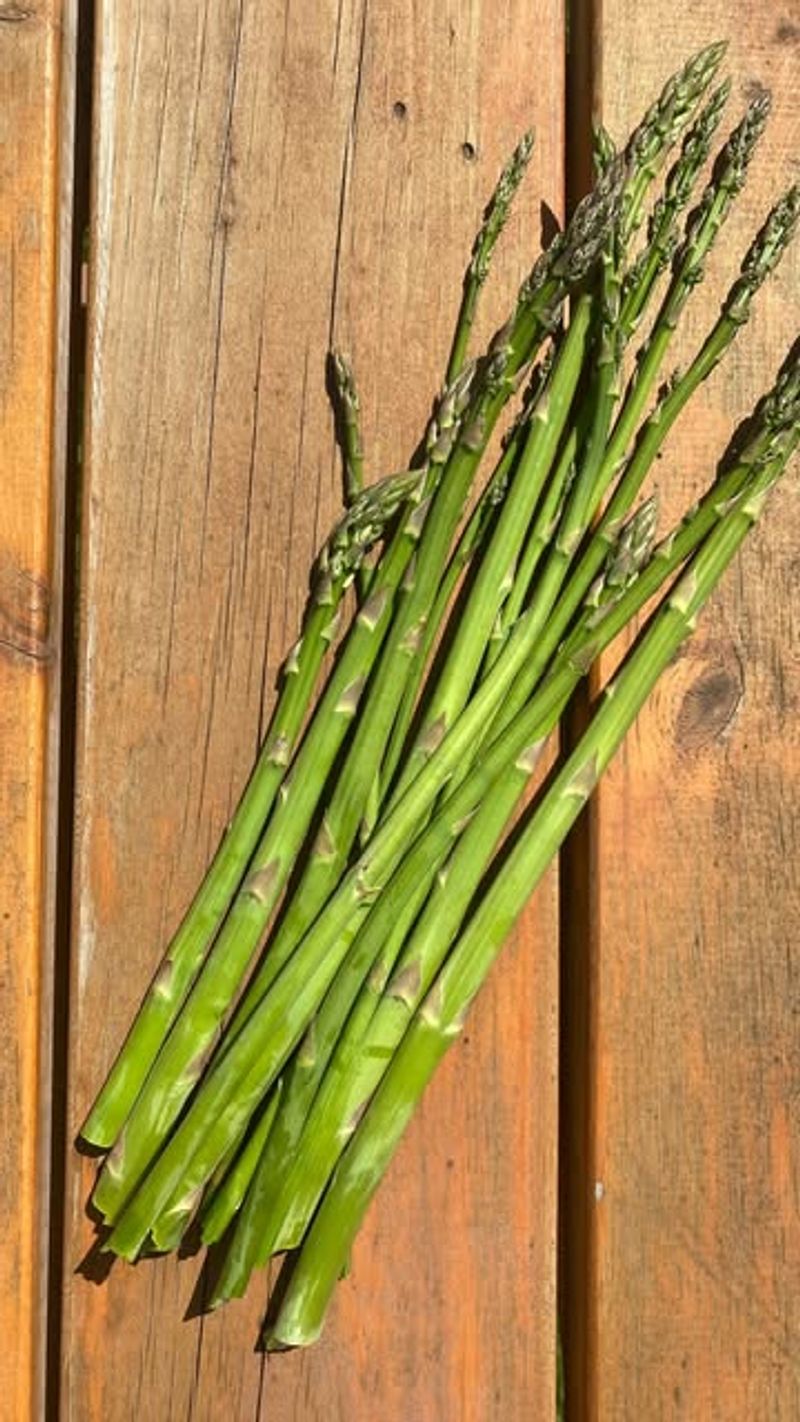Asparagus (Asparagus Officinalis)