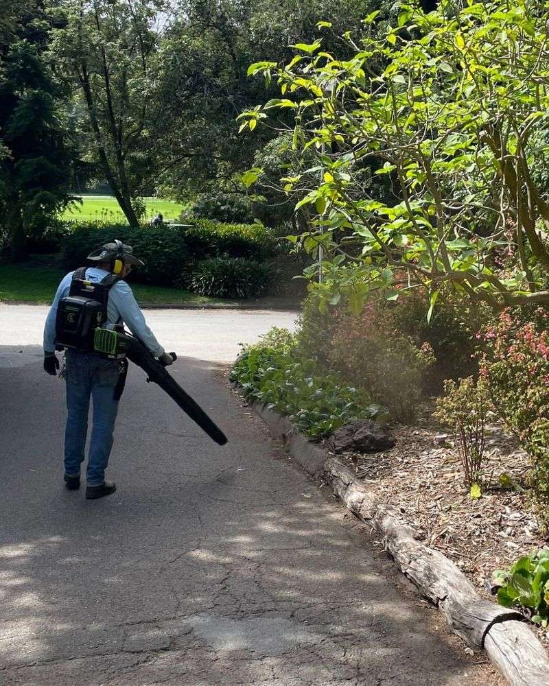 Gas-Powered Leaf Blowers