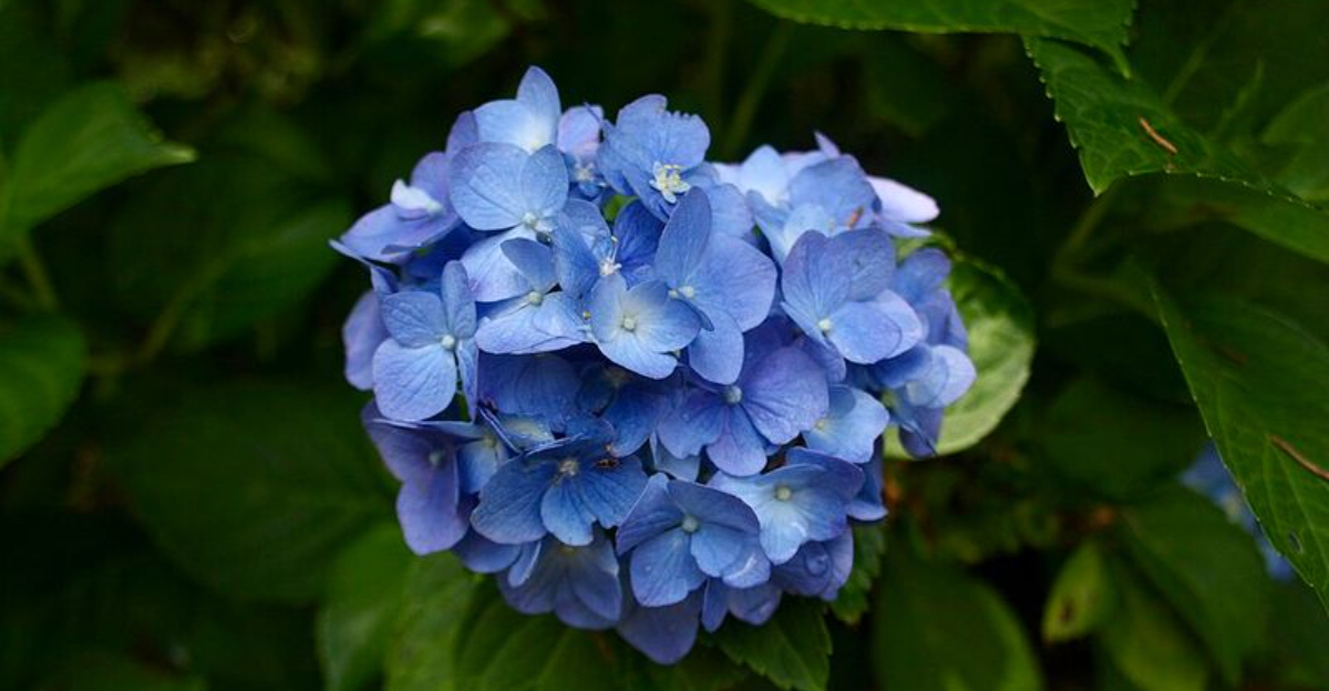 13 Striking Plants That Steal The Show In Pennsylvania Gardens