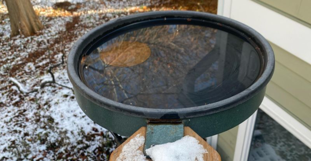 birdbath in winter
