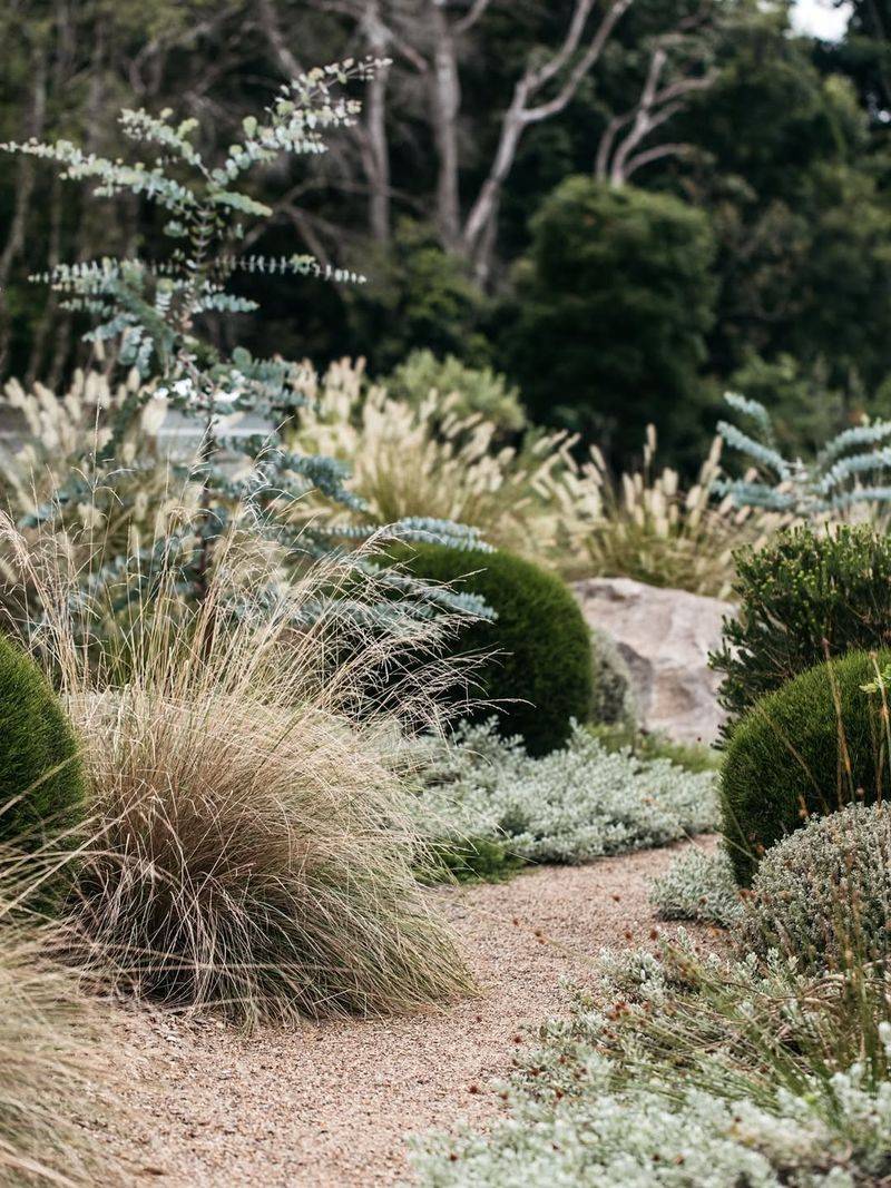 Native Plant Garden Beds