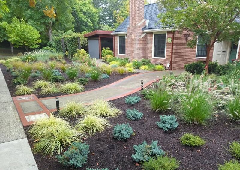 Add Layered Native Shrubs For Instant Depth