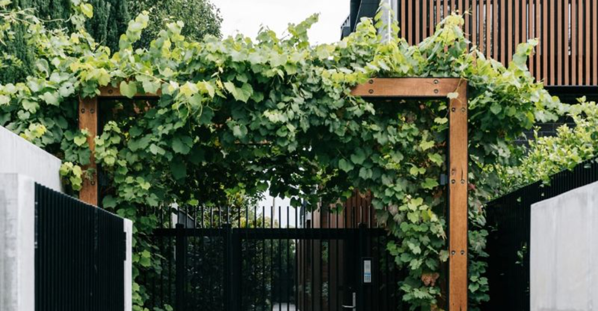 15 Easy Ways Georgia Gardeners Instantly Upgrade A Boring Backyard