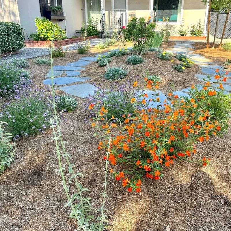 Native Drought-Tolerant Plant Beds