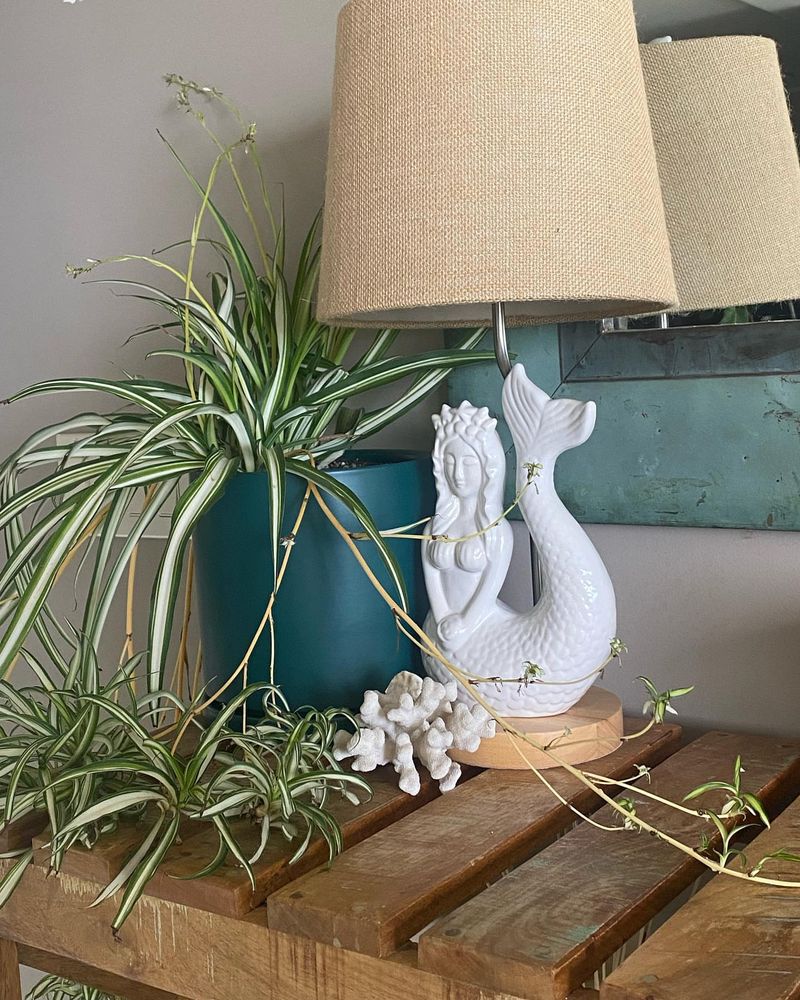 #3 Set It On A Floating Shelf Above Your Desk