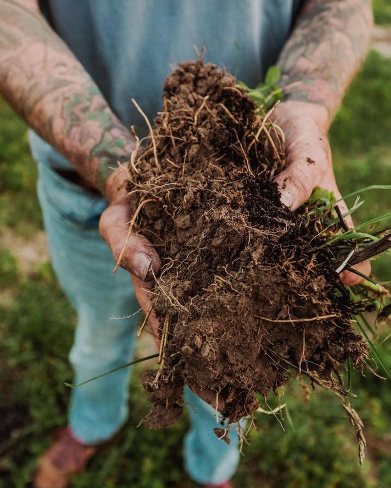 5. Organic Matter Content Determines Water Retention