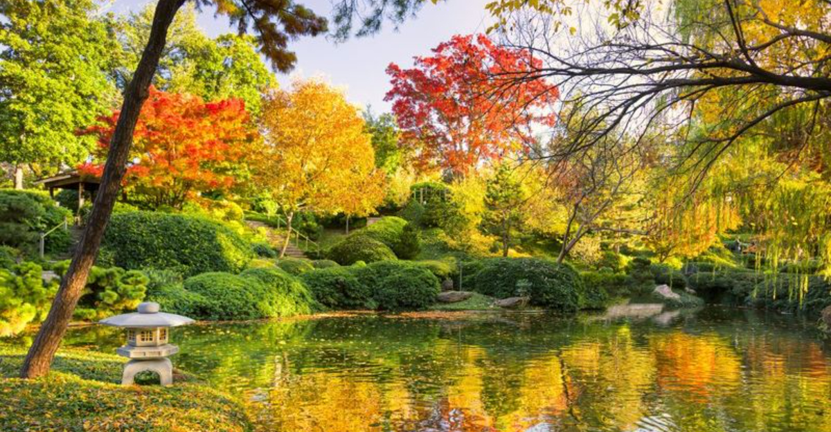7 Breathtaking Botanical Gardens Every Texas Tourist Should Visit