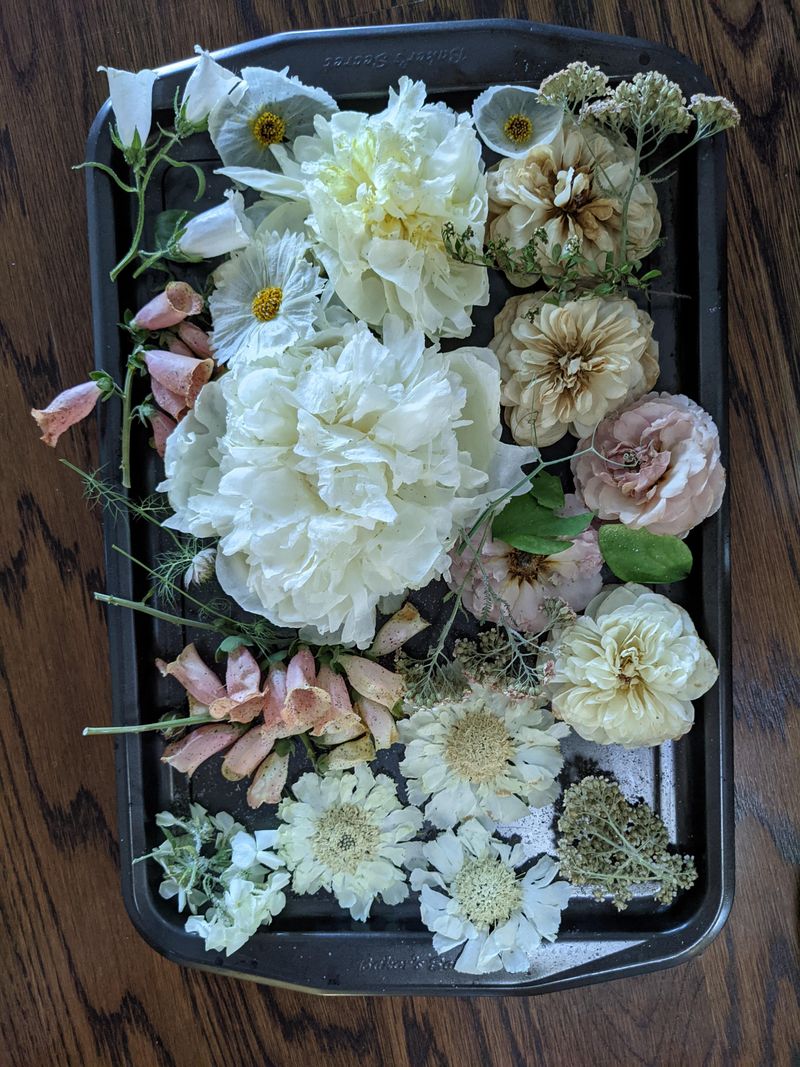 Silica Gel Drying Method