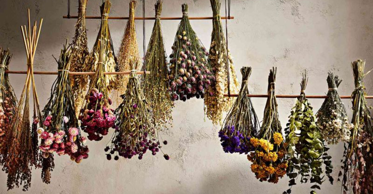 drying flowers