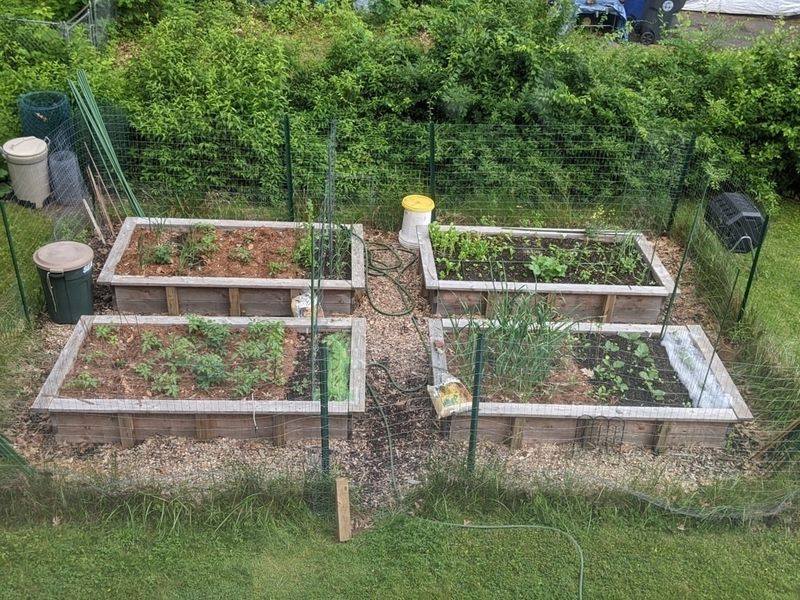 Sketch Out a Raised Bed Garden System