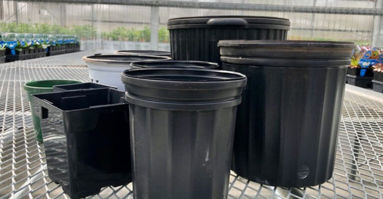 plant pots (featured image)