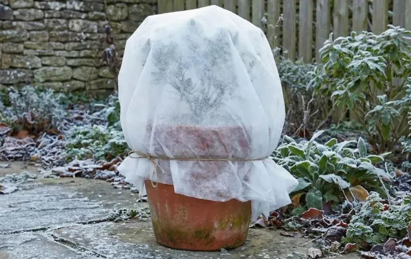 Wrap Containers With Insulating Materials