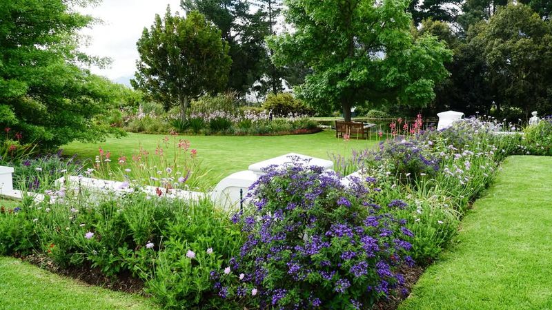 Heavy Shade Under Trees Or Near Tall Shrubs