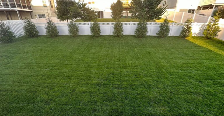 lawn (featured image)