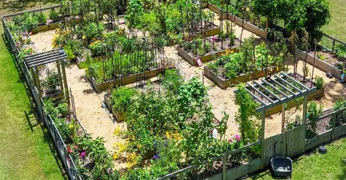 7 Reasons New Jersey Gardeners Plan Spring Gardens During Winter