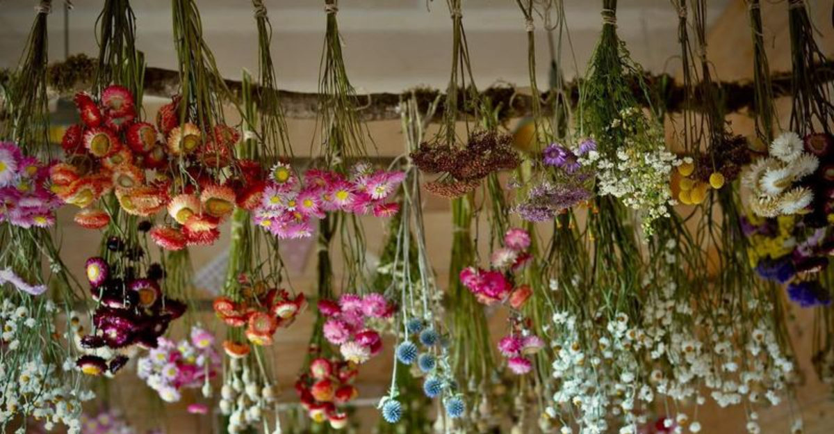 7 Simple Tricks Georgia Gardeners Use To Preserve Flowers For Christmas