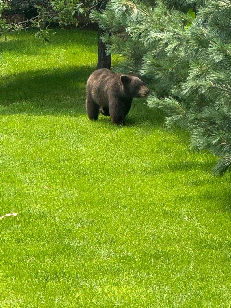 Stay Calm And Keep Your Distance