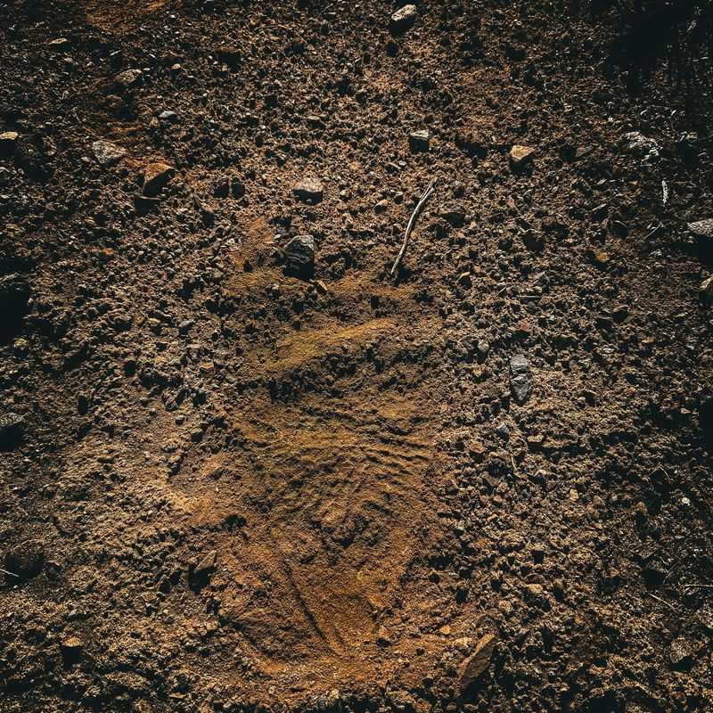 8. Soil Texture Impacts Plant Selection Success