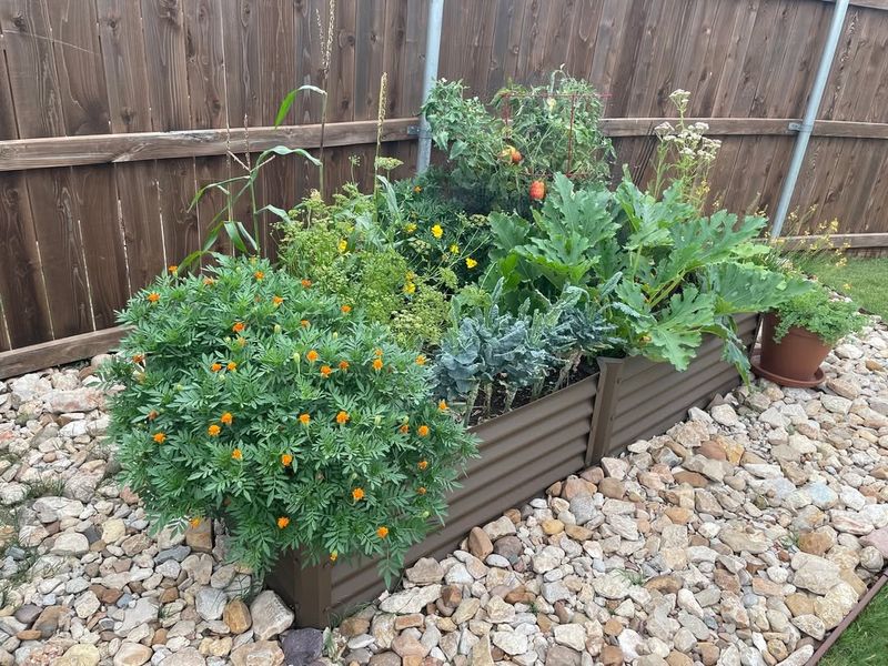Relocating Garden Beds for Better Sunlight