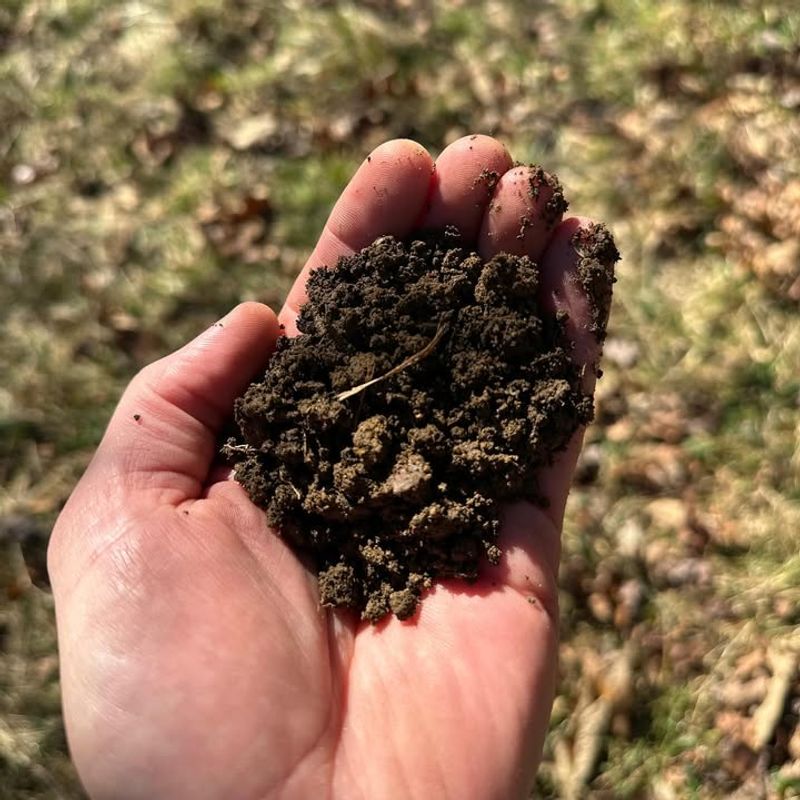Test Your Soil Quality