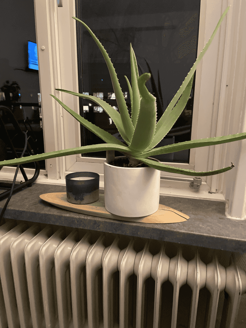 #9 Pots Getting Warm To The Touch And Stressing Roots