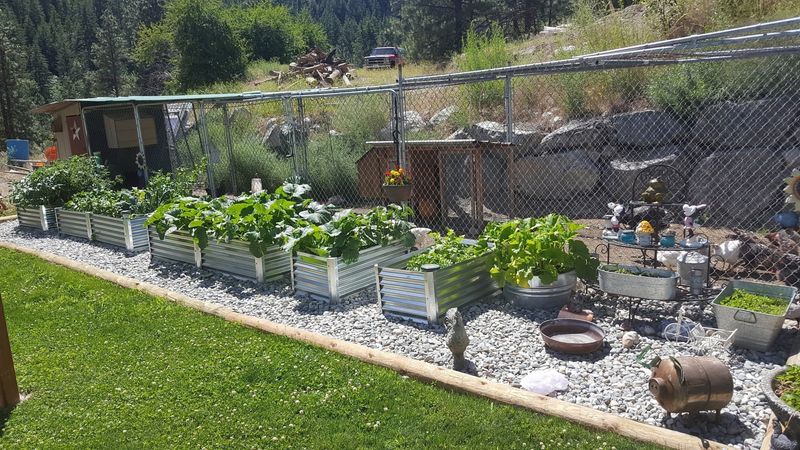 Redesign Your Garden Beds for Better Drainage