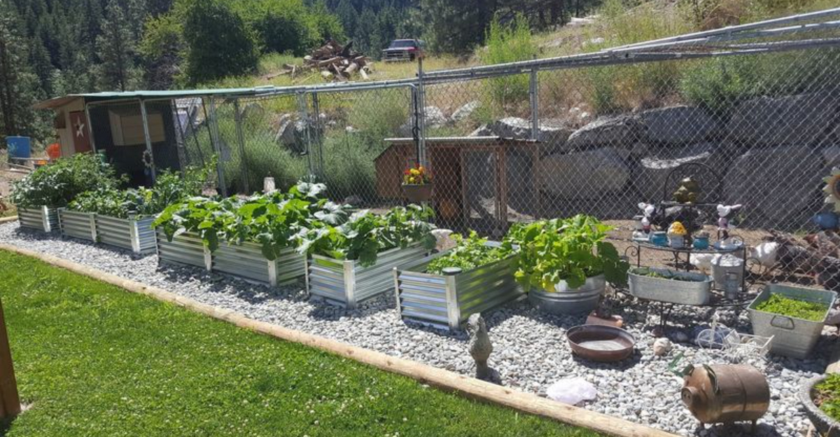 8 Off-Season Layout Changes That Help North Carolina Gardens Thrive In Spring