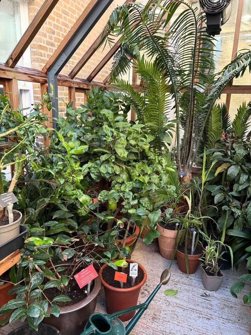 Move Containers to Sheltered Locations