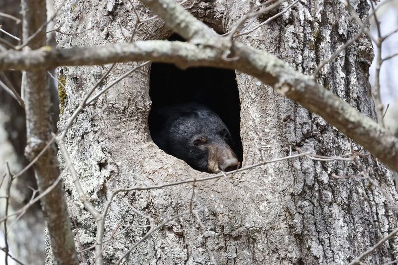 Stay Calm and Keep Your Distance