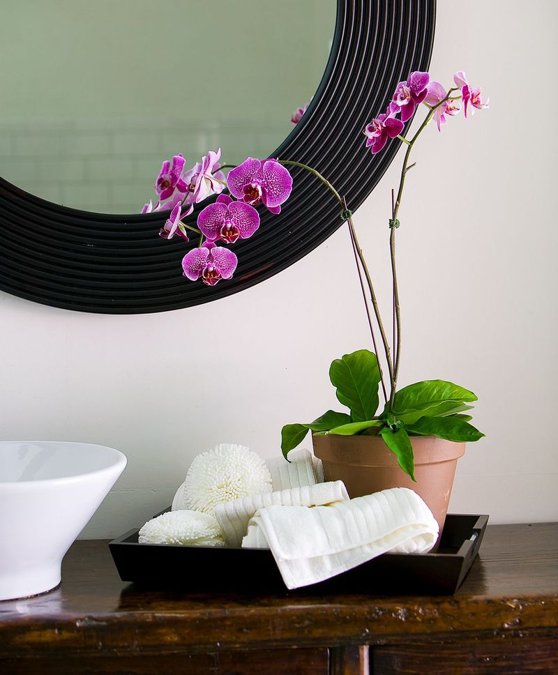 9. Bathroom Vanity Corner