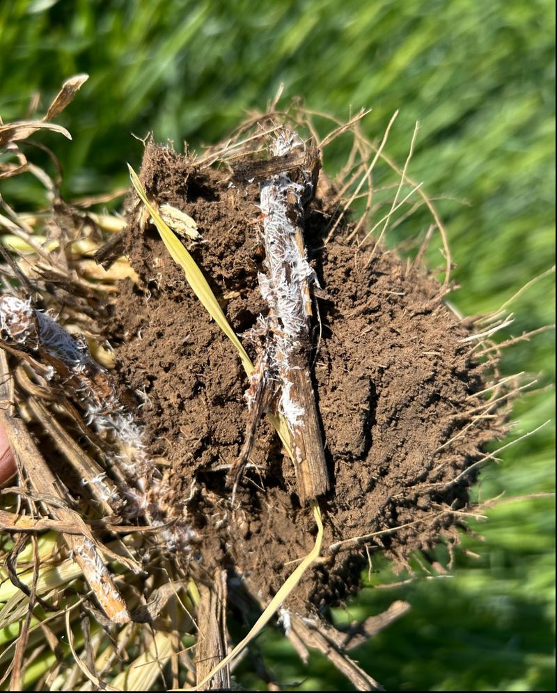 9. Contamination From Previous Property Use Surfaces