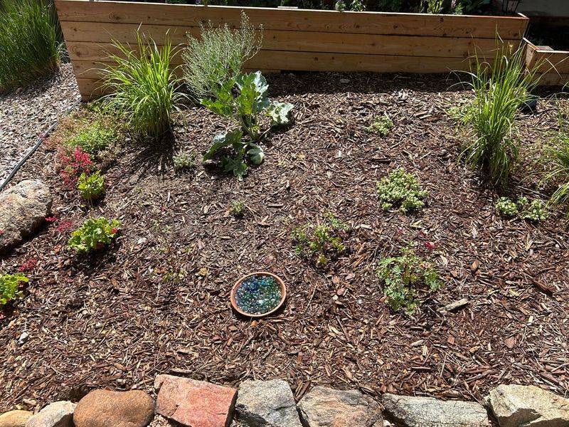 Mulch Your Garden Beds