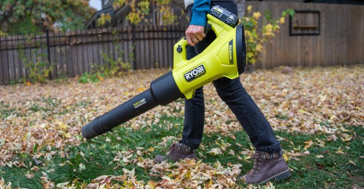 9 Innovative Gardening Tools That Make Yard Work Easier In North Carolina