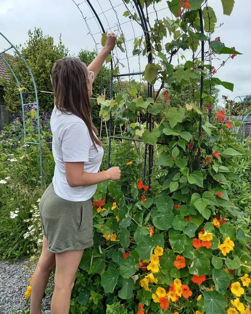 Gardening That Fits Into Daily Life