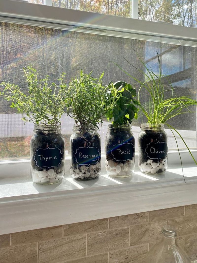 The Easiest Herb Project In Utah