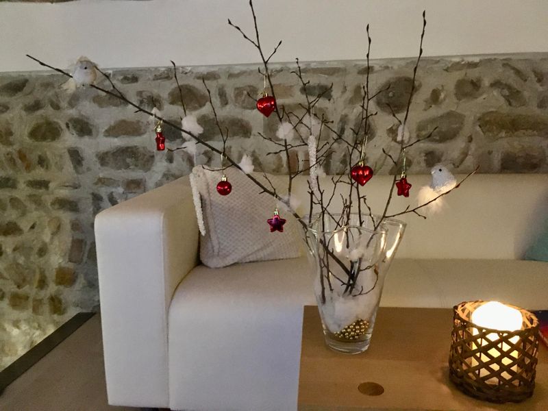 Seasonal Branch Selection Tips For Virginia Homeowners