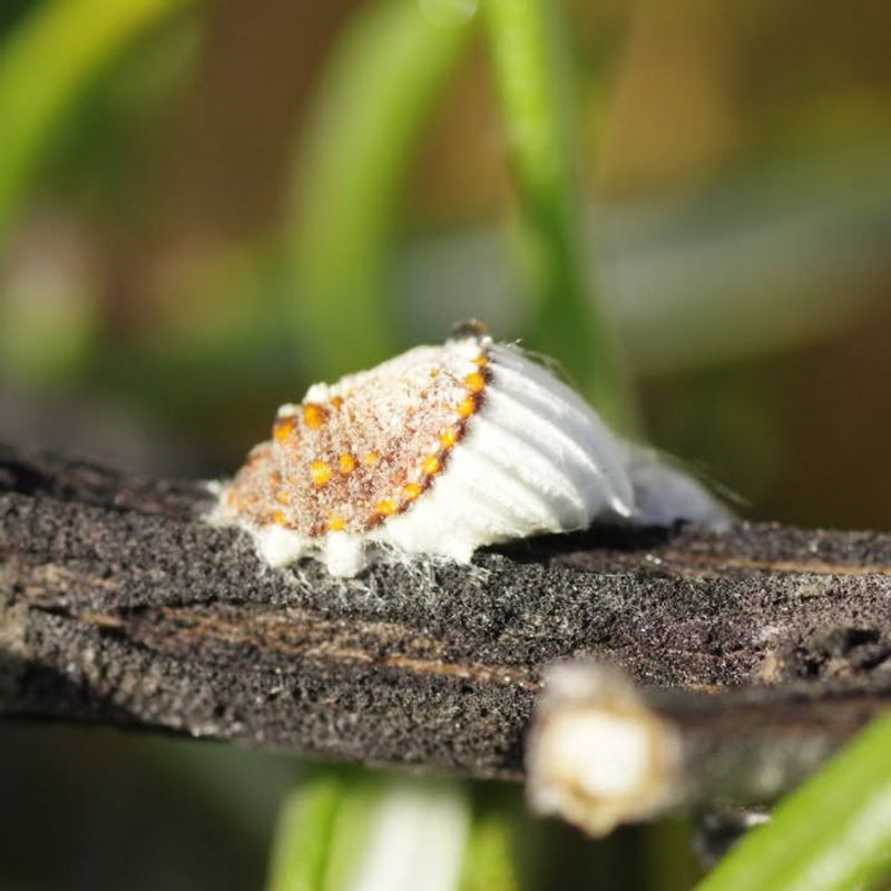 Warmer Winters Are Fueling The Population Boom